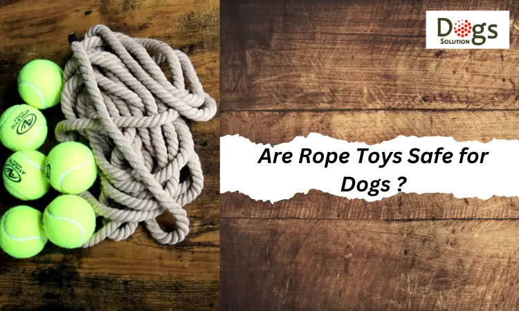 Are Rope Toys Safe for Dogs