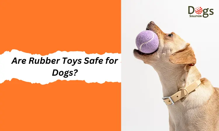 Are Rubber Toys Safe for Dogs