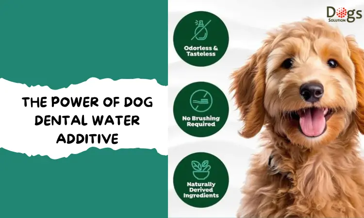 Dog Dental Water Additive