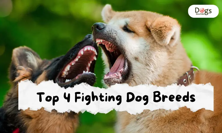 Fighting Dog Breeds