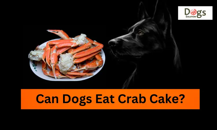 Can Dogs Eat Crab Cake