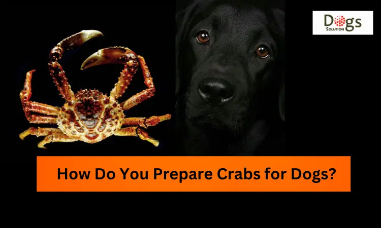 How Do You Prepare Crabs for Dogs