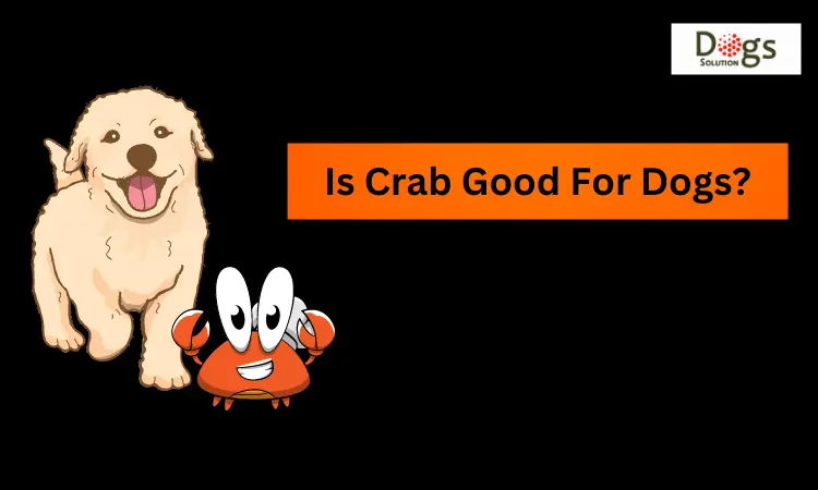 Is Crab Good For Dogs