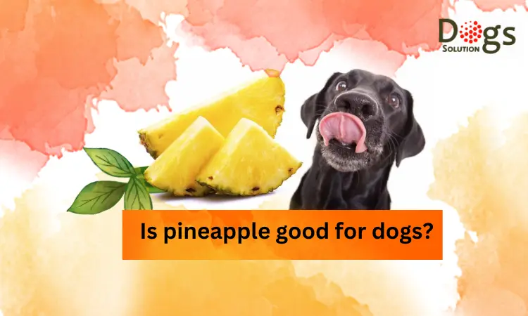 Is Pineapple Safe for Dogs