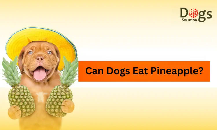 Can Dogs Eat Pineapple