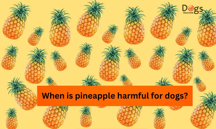 can dogs eat pineapple skin