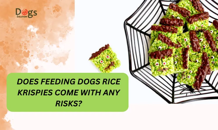 Does Feeding Dogs Rice Krispies Come With Any Risks