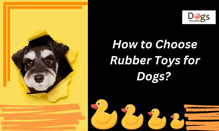 How to Choose Rubber Toys for Dogs