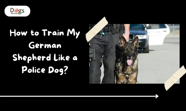 How to Train My German Shepherd Like a Police Dog