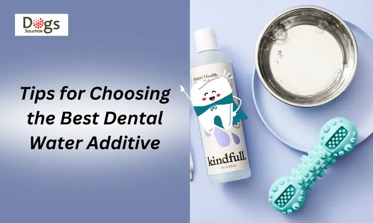 Tips for Choosing the Best Dental Water Additive