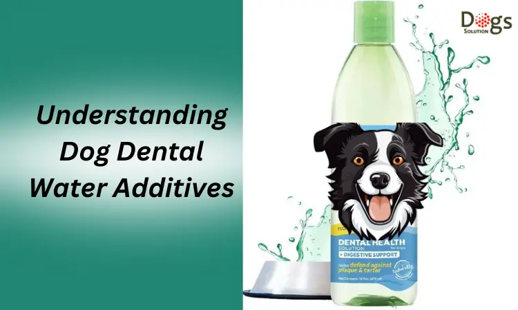 Understanding Dog Dental Water Additives