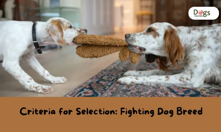 best fighting dog breeds